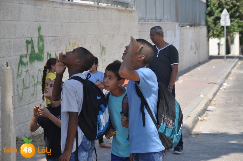 cat lud 910 (35).JPG